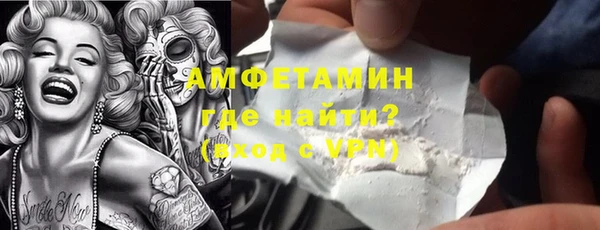 гидра Ельня