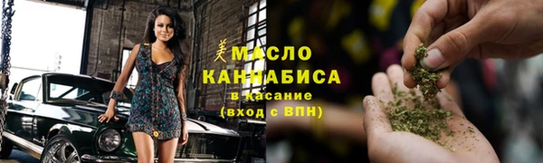 индика Елабуга