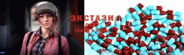 гидра Ельня