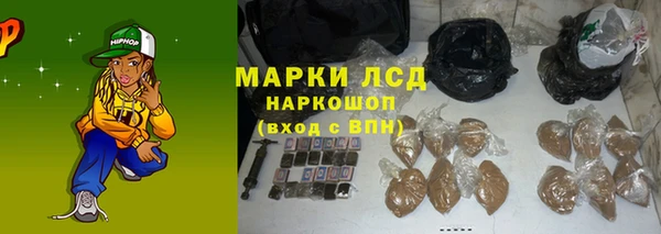 индика Елабуга