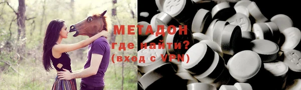гидра Ельня