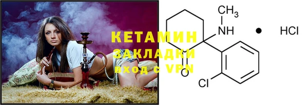 гидра Ельня