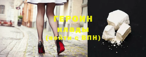 гидра Ельня