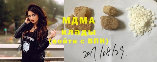 индика Елабуга