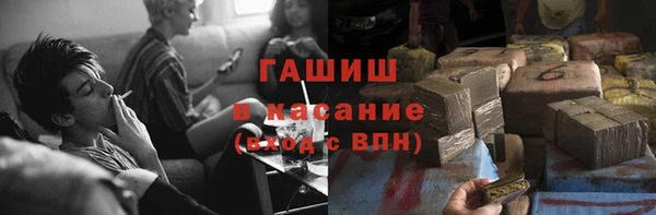 индика Елабуга