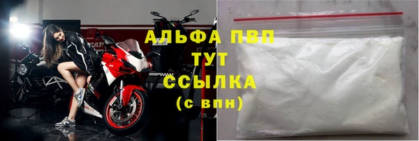 индика Елабуга