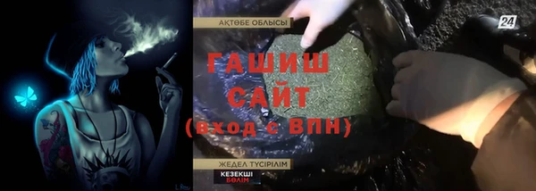 гидра Ельня