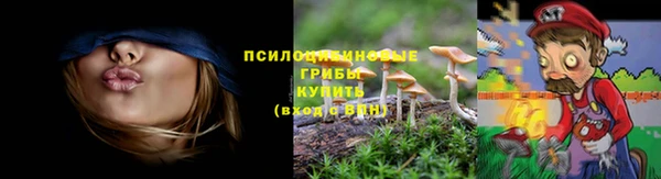 гашик Елизово