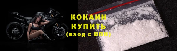 гидра Ельня