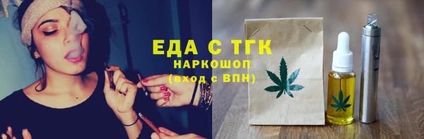гидра Ельня