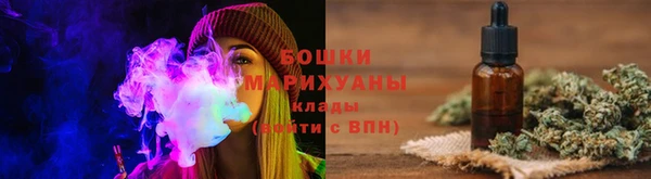 индика Елабуга