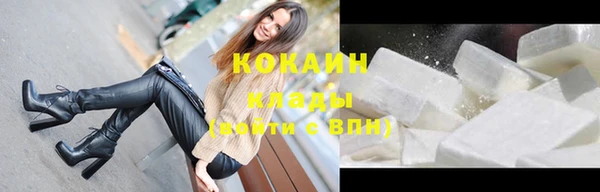 индика Елабуга