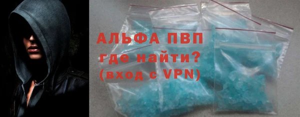 индика Елабуга