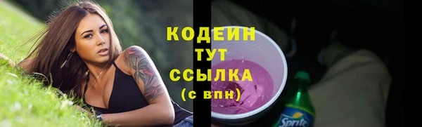 индика Елабуга