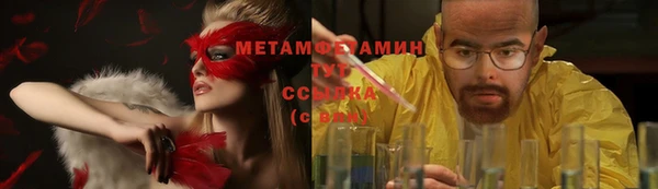 индика Елабуга