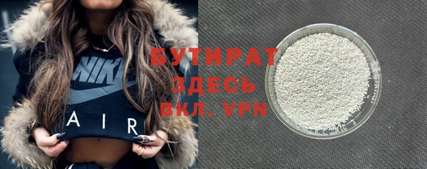 гидра Ельня