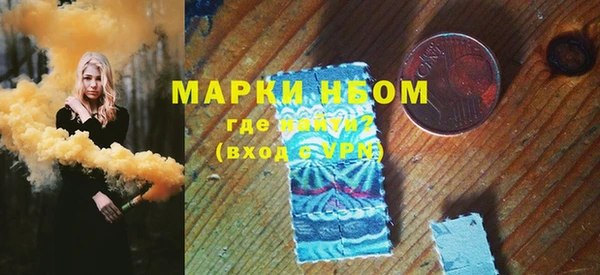 гидра Ельня