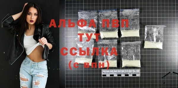 гидра Ельня
