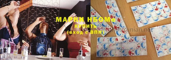 гашик Елизово