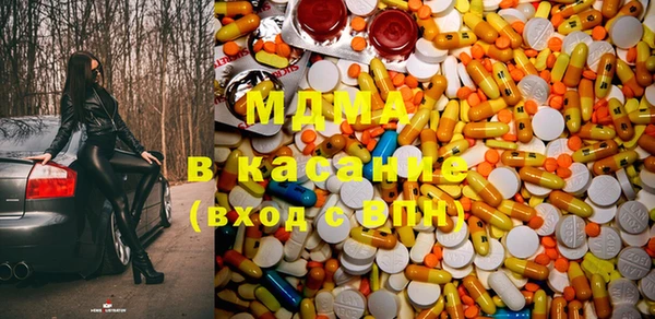 индика Елабуга