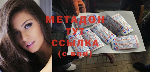 индика Елабуга