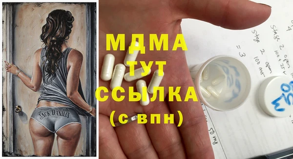 гидра Ельня