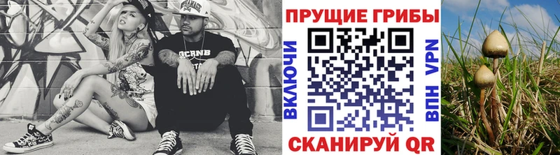 Псилоцибиновые грибы MAGIC MUSHROOMS  Купить где  Рузаевка 